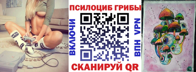 закладка  Иланский  Псилоцибиновые грибы Cubensis 